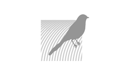 Verhaltensregeln im Nationalpark De Alde Feanen