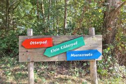 Update Pettebosk: verbeteringen en vernieuwingen!