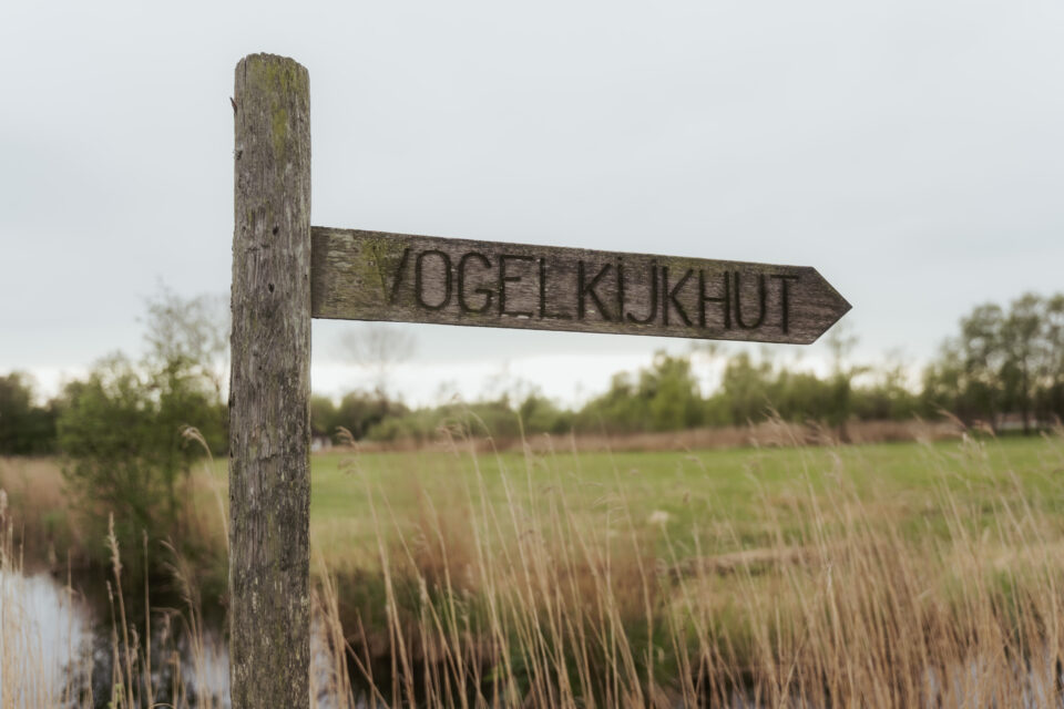 Mindfulness wandeling NP de Alde Feanen