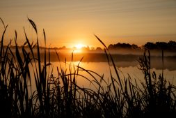 Fantastisch nieuws voor Nationale Parken: Bezuinigingen zijn terug gedraaid