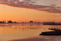 Gedragsregels Nationaal Park De Alde Feanen