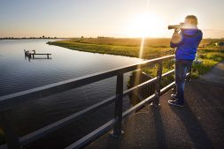 Jeugdexcursie: uilenballenpluizen voor jonge natuuronderzoekers (6+)