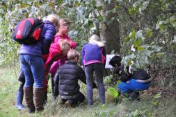 Herfststruintocht door het Wikelslân voor kinderen (6+)