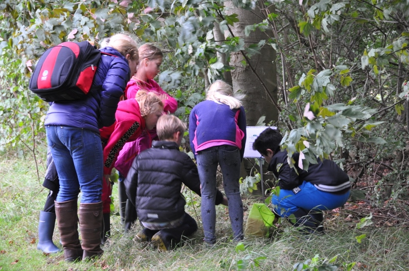 alde feanen excursie