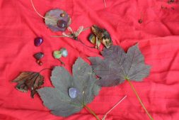 Knutselen met natuurlijke materialen in Earnewâld (6+)