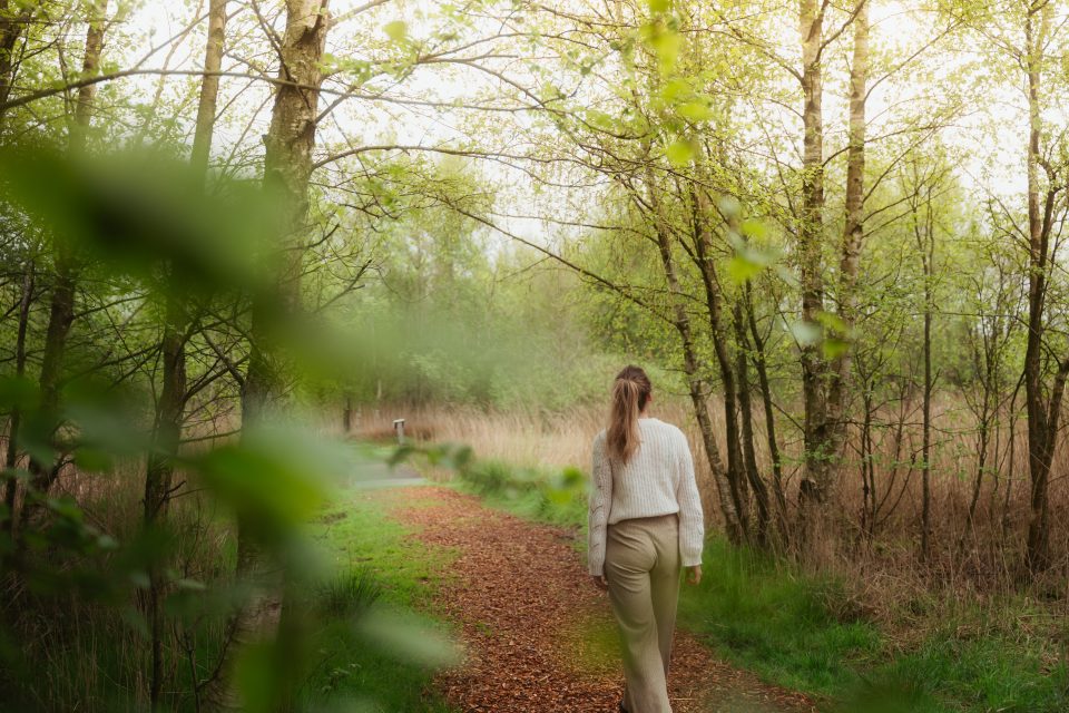 Mindfulness wandeling NP de Alde Feanen