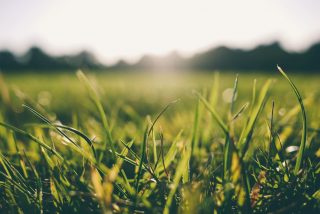 Alde Feanen - Blog Doe opdrachten