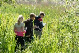 Voorjaar in De Alde Feanen