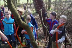 Help de boswachter met snoeien en zagen (8+)