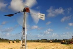 Grootste Instameet in Nationaal Park De Alde Feanen