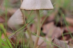 Herfstwandeling door de Jan Durkspolder