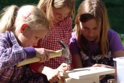 Workshop nestkastjes timmeren in Earnewâld (8+)