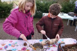 Workshop vetbollen in Earnewâld (6+)