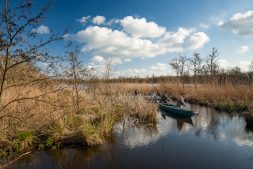 Online excursie door Nationaal Park De Alde Feanen