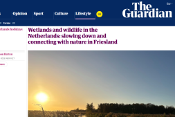 De Alde Feanen in The Guardian