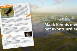 Tiny Tales verhalenwedstrijd