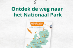 Laatste kans voor de Tiny Tales verhalenwedstrijd