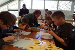 Jeugdexcursie: uilenballenpluizen voor jonge natuuronderzoekers (6+)