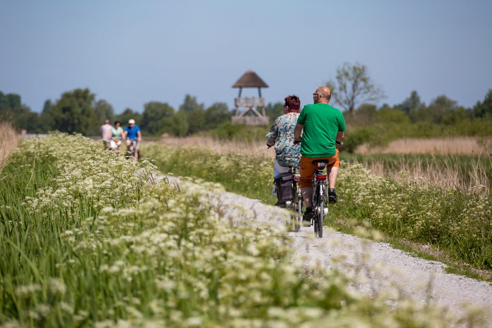 fietsen nationaal park de alde feanen