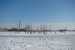 Fotografeer het winterdecor van de Lytse Mear (12+)