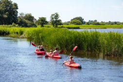 The best way to cruise the National Park De Alde Feanen with children