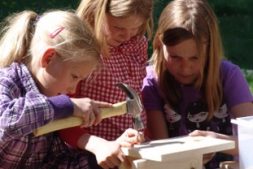 Nestkastjes timmeren voor kids in Earnewâld (8+)