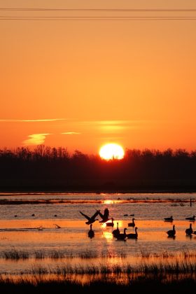 Informatiepunt Nationaal Park De Alde Feanen