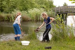 Groot onderhoud in het Pettebosk