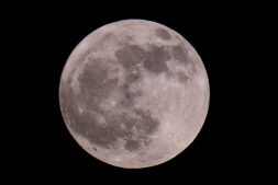 Bij volle maan varen door de natuur vlakbij Earnewâld (12+)